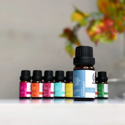 Rosemary Essential Oil - 10ml